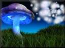 Magic_Mushroom 1024/768, size=473 kb